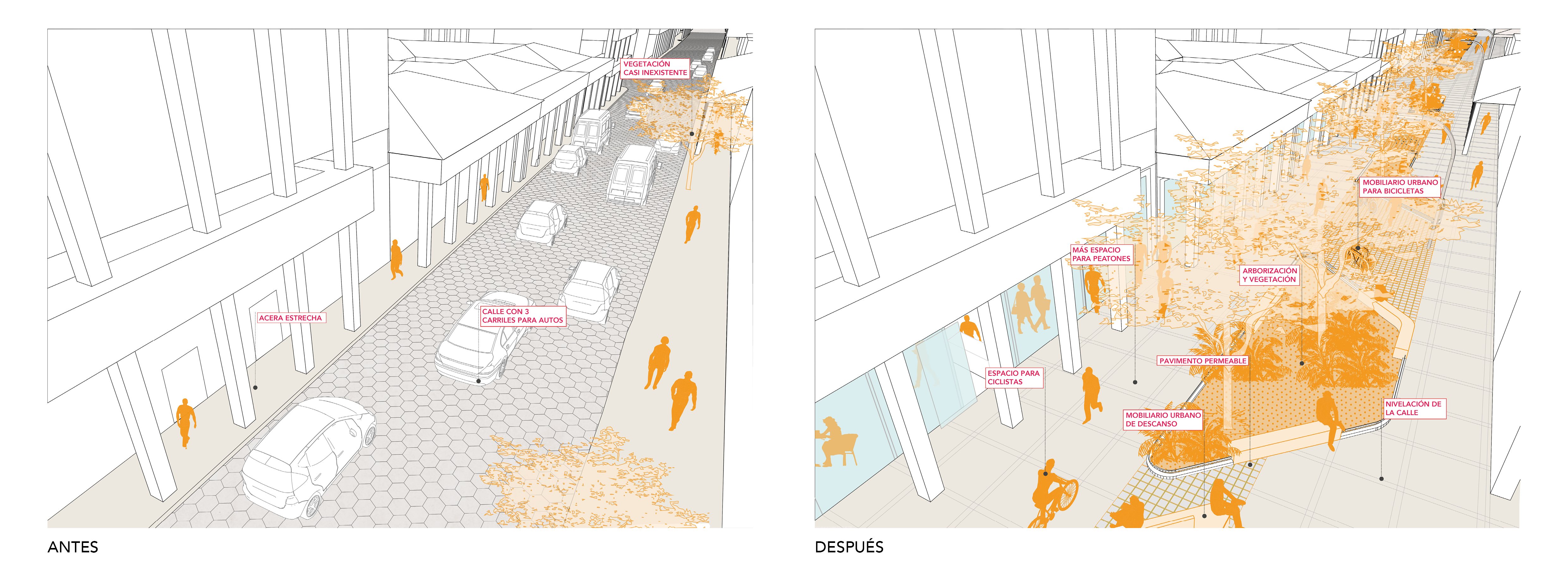 2023 12 13 Santa Cruz Informe 513