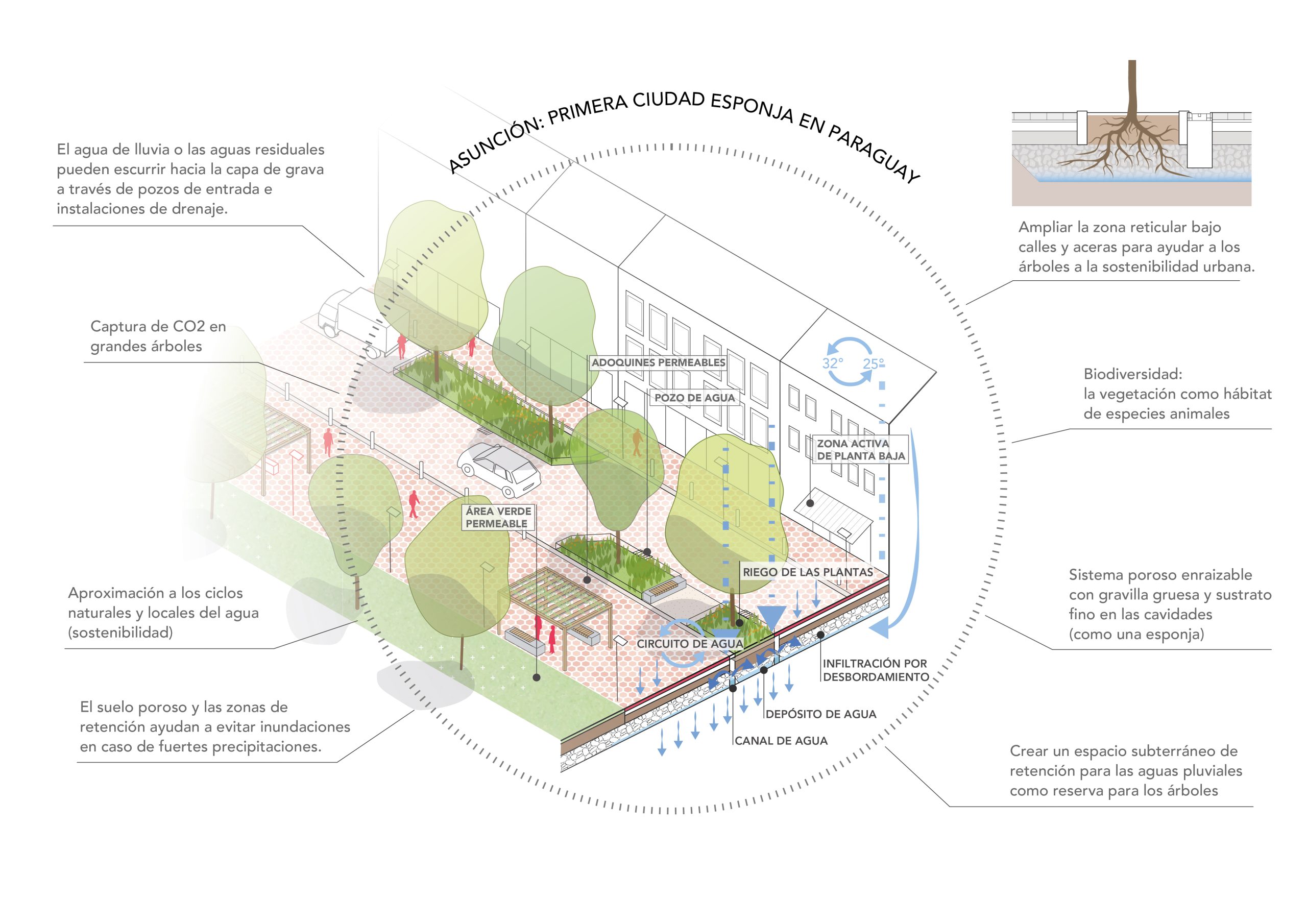 Schwammstadt Calle Palma_Zeichenfläche 1
